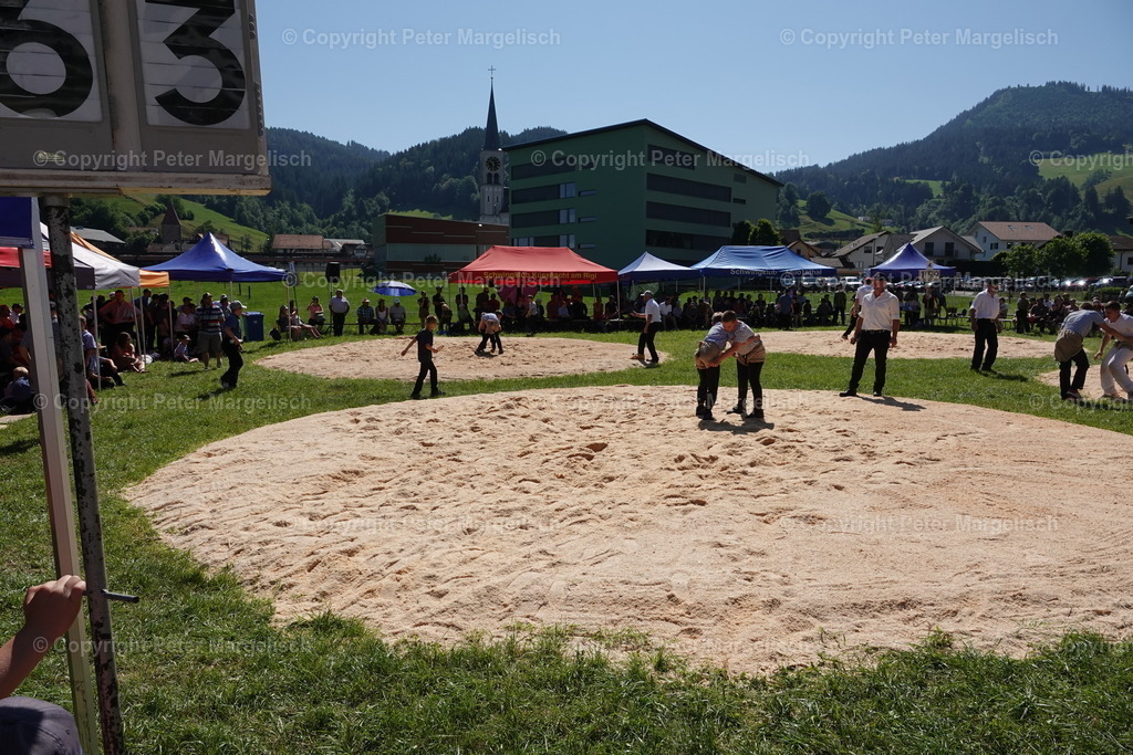 DSC04704 | Schwingen - Realisiert mit Pictrs.com