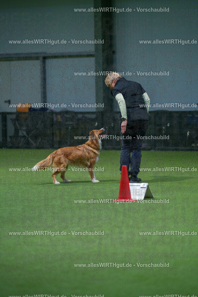 7R500706 | Professionelle Tierfotografie in Mönchengladbach von Daniel Wirth (allesWIRTHgut). Liebevolle & natürliche Bilder von Hunden & Katzen für unvergessliche Erinnerungen.