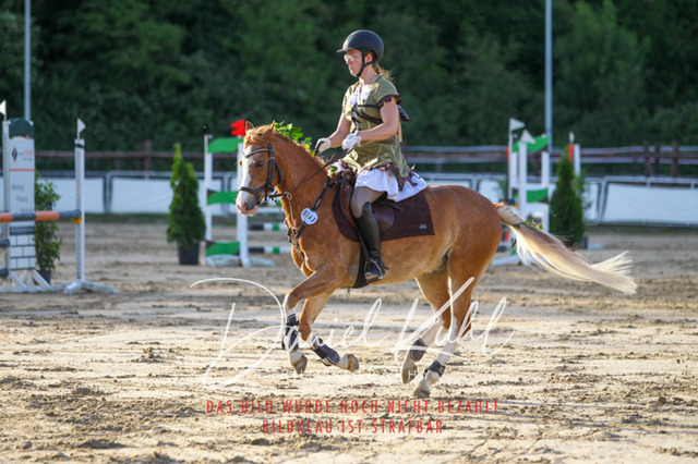 DKP45234 | Turnierfotos kaufen im Webshop von Daniel Kuhl Photography – entdecke professionelle Reitsportfotos aus Turnieren & Events. Hochwertige Turnierbilder online bestellen & sichern. Jetzt Fotos von Reitsportturnieren kaufen!