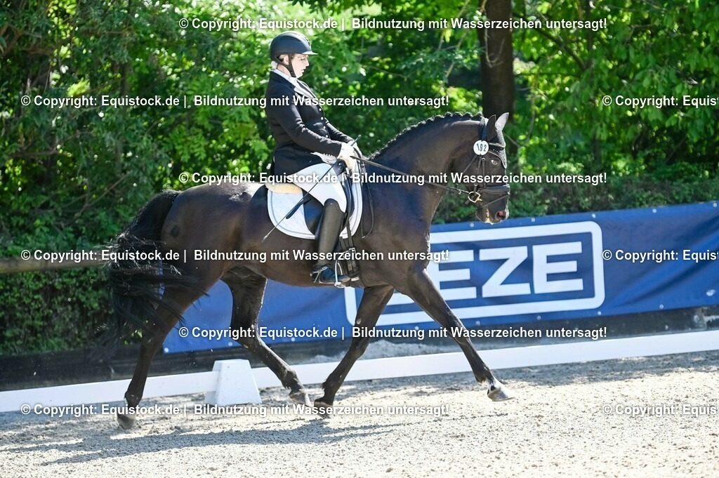 20230908_06_Dressur-L-Trense_0693 | equistock