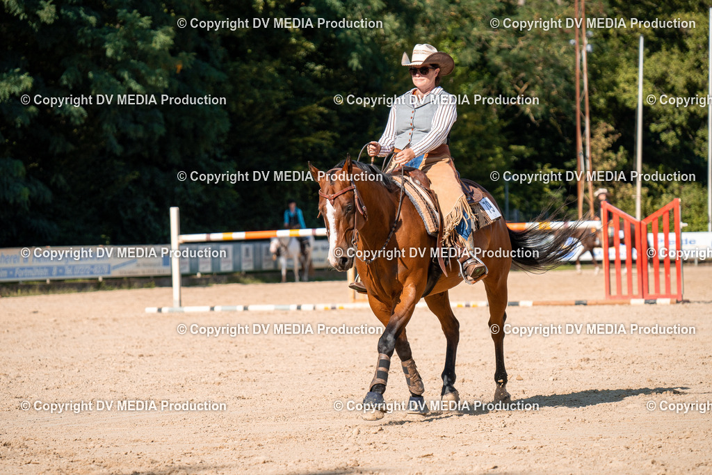 ZH100769 | dv-media-shop - Realisiert mit Pictrs.com