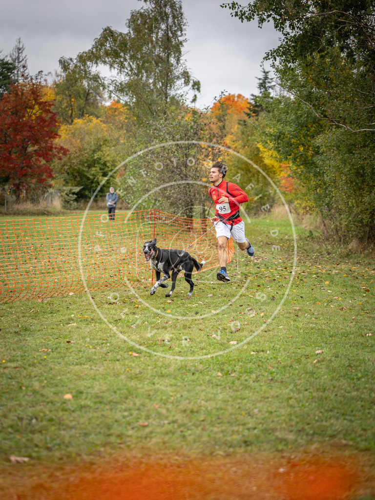 Pfotenfotografie_DV3A3347 | Hundefotografie, Tierfotograf, Pfotenfotografie, Fotoshooting Hund, Hunde Portrait, Hundesport, Hundeportraits, Heideshooting, Hunde, Sportfotograf, Hundefotograf, Turnierhundsport, THS,  - Realisiert mit Pictrs.com