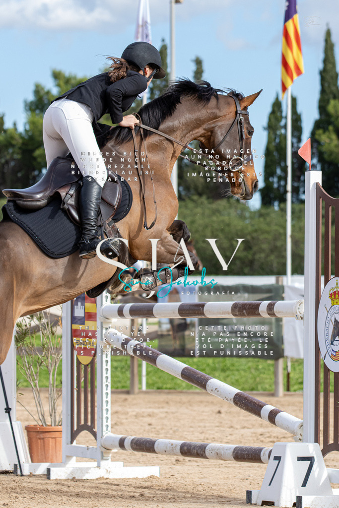 IMG_3248 | s-jay-photography - Realisiert mit Pictrs.com