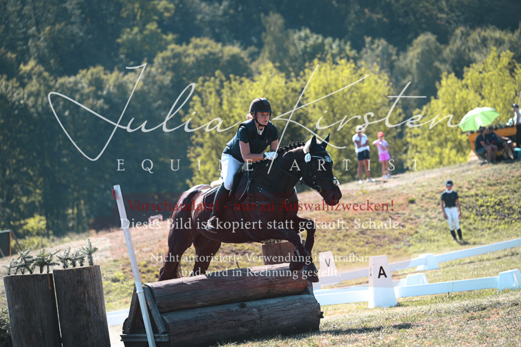 DSC_8044-2 | Pferde- und Turnierfotografie in Westsachsen. Pferdeportraits, Auftragszeichnungen und intuitive Kunst.