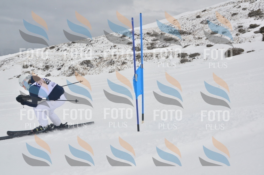 A5767 | holidayphoto