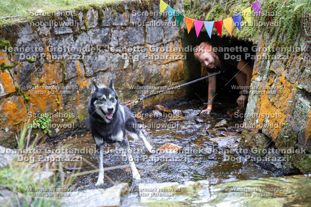 Dog Paparazzi -  TH 26-591 | Dog Paparazzi Jeanette Grottendiek Fotografie & Videografie - Realisiert mit Pictrs.com