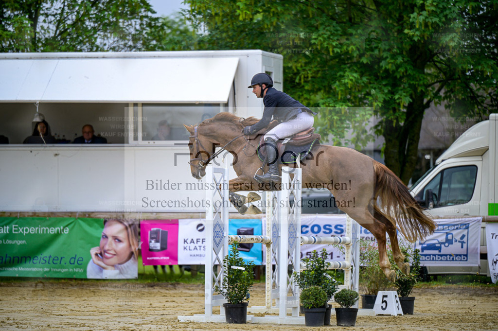 Reitturnier Lienen | Entdecke hochwertige Reitturnierfotos von Foto Oger. Professionell, emotional und authentisch – jetzt Lieblingsmomente im Shop bestellen. - Realisiert mit Pictrs.com