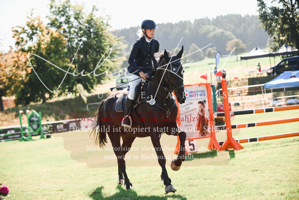 DSC_2548 | Pferde- und Turnierfotografie in Westsachsen. Pferdeportraits, Auftragszeichnungen und intuitive Kunst.