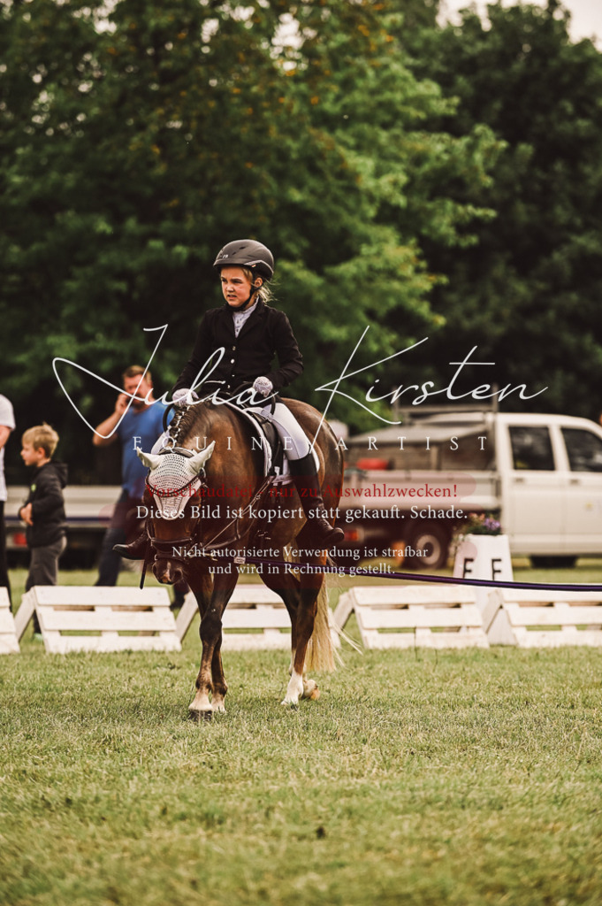 DSC_5252 | Pferde- und Turnierfotografie in Westsachsen. Pferdeportraits, Auftragszeichnungen und intuitive Kunst.