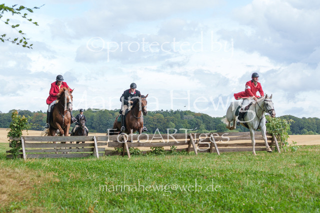 Jagd Knoop 26_MarinaHewigMCH02608 | Fotografie, FotoArt, PferdesportArt, Pferdesportfotografie, Landschaftsfotografie, Reisefotografie, Reise, Pferde - Realisiert mit Pictrs.com