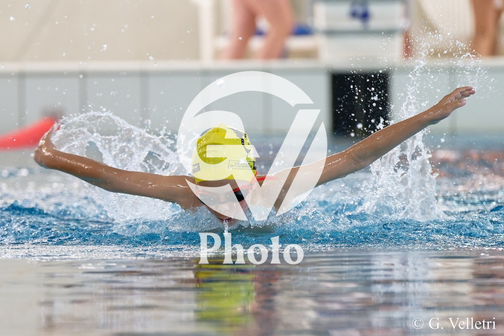 DSC_9212 | Velletri Photo