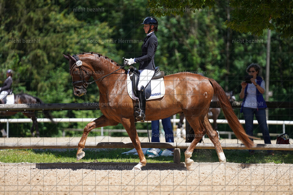 20240705-FAH03521 | Turnierbilder von Grafing, Reitsportbilder, Turnierfotos, Turnierfotografen Bayern, Pferdefotograf, Fotoagentur Herrmann