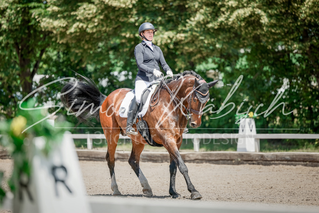 20250621-_3LI7442 | Tierfotografie Pferde, Hunde, Katzen, Haustiere.
Turnierfotografie Reitturniere, Reiten, Springreiten, Dressur in Hanau, dem Main-Kinzig-Kreis und dem Rhein-Main- Gebiet um Frankfurt