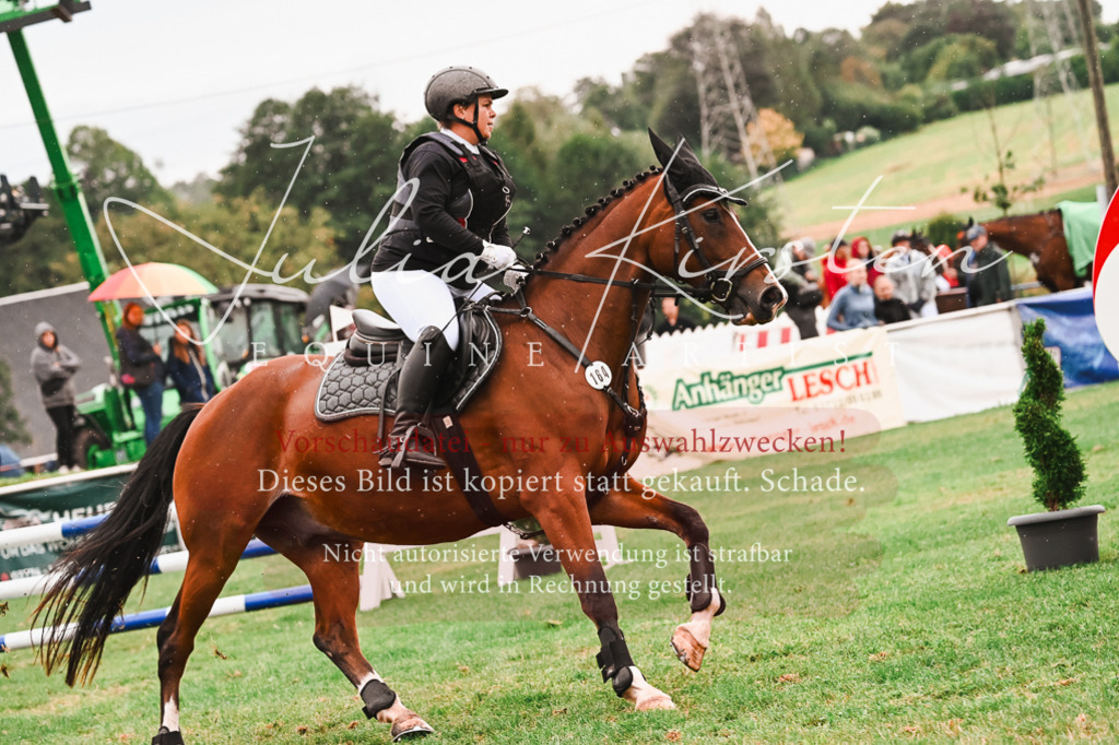 DSC_6578 | Pferde- und Turnierfotografie in Westsachsen. Pferdeportraits, Auftragszeichnungen und intuitive Kunst.