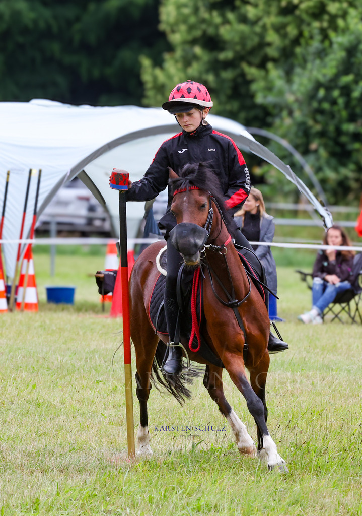 1B3A0155 | Reitsport Reiten