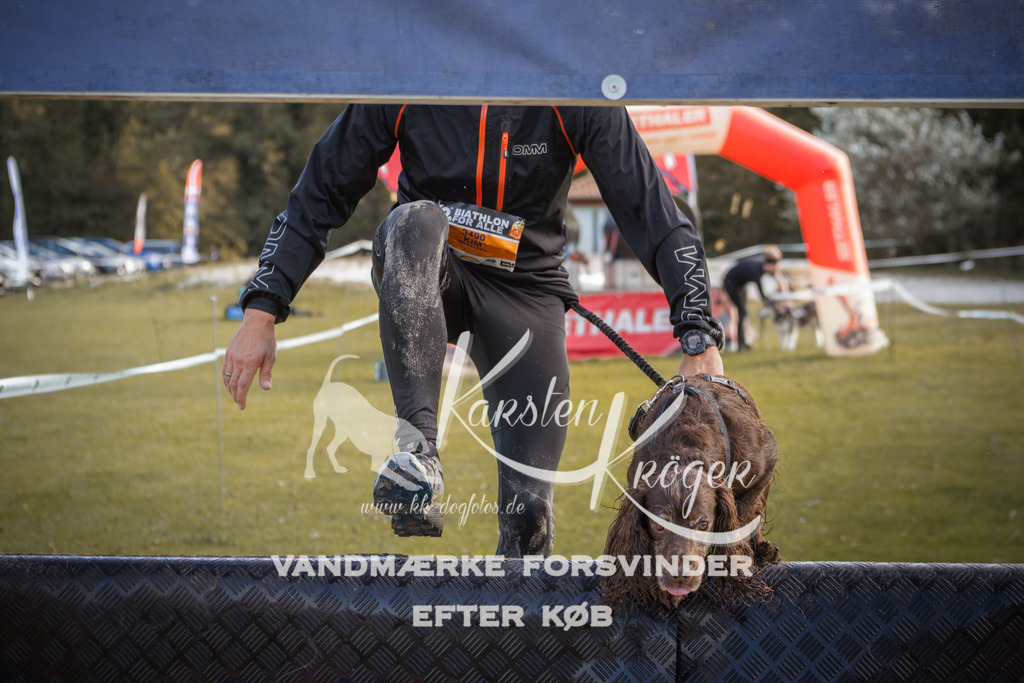 1302_ZZ98812-2 | kk-dogfotos