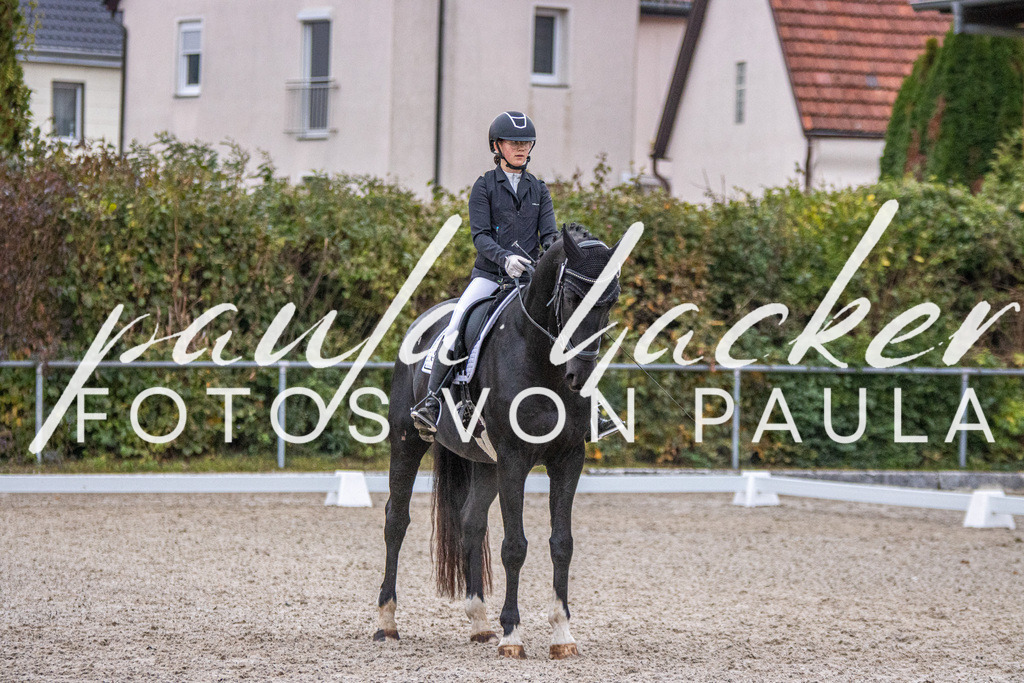 IMG_2495 | Erleben Sie dynamische Sport- und emotionale Tierfotografie in Süddeutschland mit Fotos von Paula. Spezialisiert auf Pferde- und Hundefotografie sowie Sportevents. Kontaktieren Sie mich für einzigartige und ausdrucksstarke Bilder Ihrer besonderen Momente.