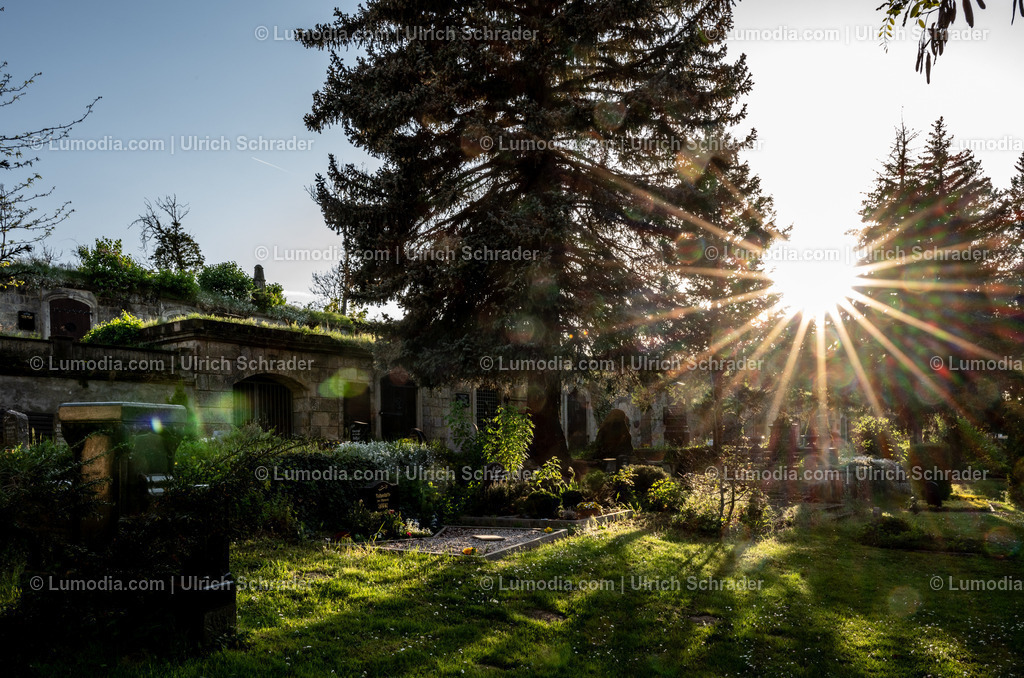 10049-13298 - Abendliches Quedlinburg | Stockfoto und Bilderpool mit Bildmaterial aus Deutschland, dem Harz, Halberstadt, Quedlinburg, Wernigerode und weltweit. Qualitativ hochwertige und professionelle Fotos anschauen und kaufen. - Realisiert mit Pictrs.com