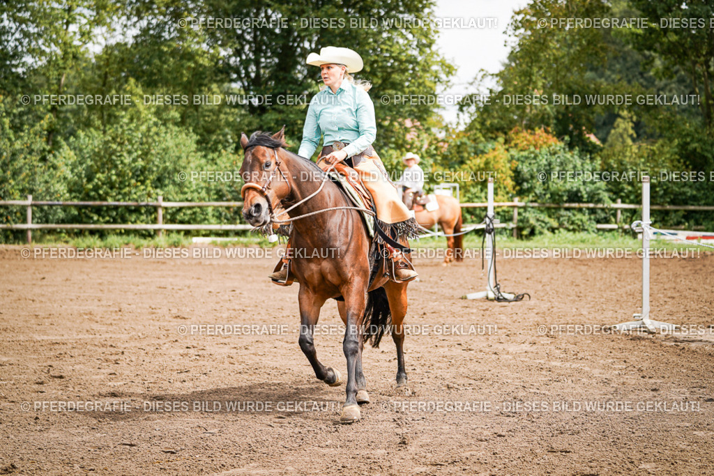 DSC06100 | Pferdegrafie