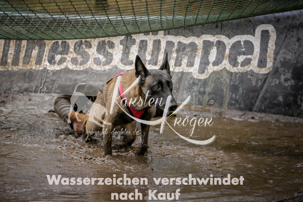 1029_ZZ91294 | kk-dogfotos