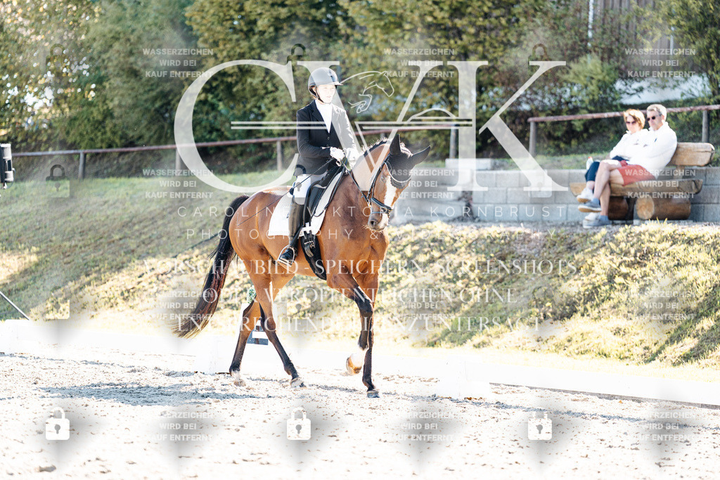 CK908650 | Turnierfotografie Pferdefotografie Trier Rheinland-Pfalz Pferdesport Reitsport Tierfotografie Sportfotografie Pferdevideo Pferdevideografie Equestrianvideography equestrianphotography  - Realisiert mit Pictrs.com