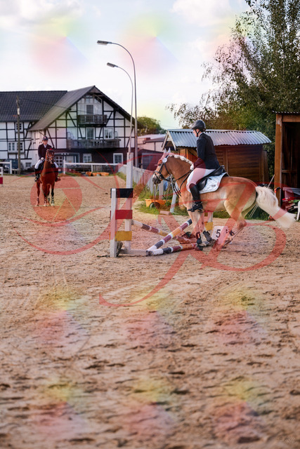 2026_10_03_Siefer-Hof_145517_Z81_35895666 | Professionelle Reitsport-, Turnier- und Eventfotografie von Robert Broda. Galerien mit ausgewählten und bearbeiteten Bildern direkt online ansehen und bestellen.