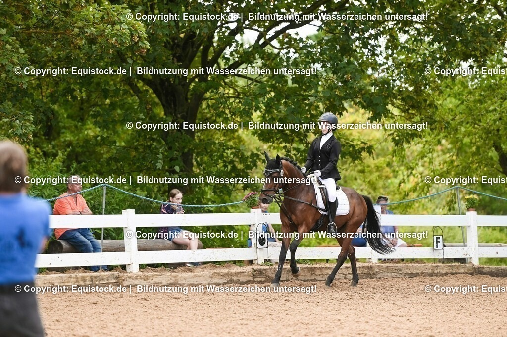 20230716_10-2_Reiter-WB Schritt - Trab - Galopp_0125 | equistock