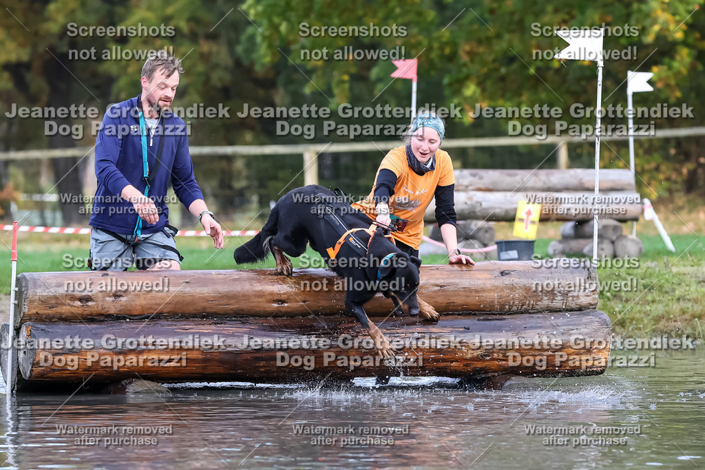 Dog Paparazzi - Strongdog 10-25-6681 | Dog Paparazzi Jeanette Grottendiek Fotografie & Videografie - Realisiert mit Pictrs.com