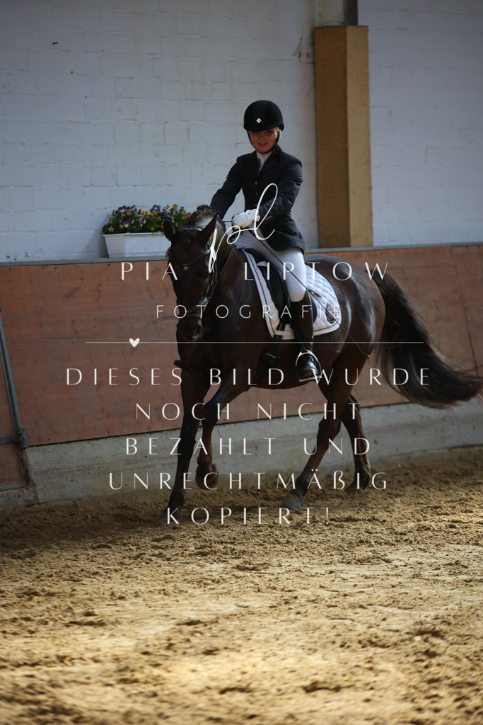 IMGT6332 | pl-fotografie