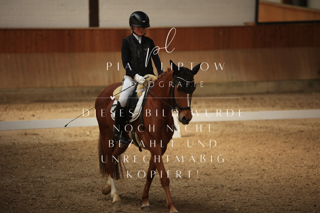 IMGT5578 | pl-fotografie