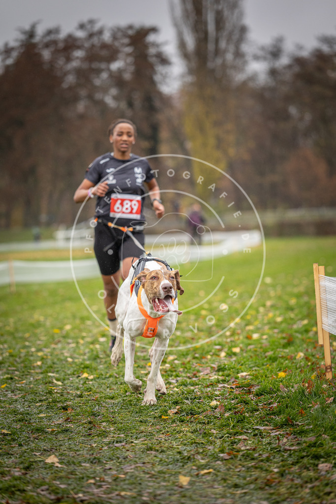 CaniXpix_DV3A8962 | Hundefotografie, Tierfotograf, Pfotenfotografie, Fotoshooting Hund, Hunde Portrait, Hundesport, Hundeportraits, Heideshooting, Hunde, Sportfotograf, Hundefotograf, Turnierhundsport, THS,  - Realisiert mit Pictrs.com