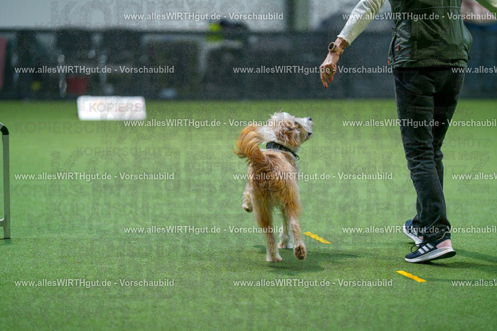 7R503371 | Professionelle Tierfotografie in Mönchengladbach von Daniel Wirth (allesWIRTHgut). Liebevolle & natürliche Bilder von Hunden & Katzen für unvergessliche Erinnerungen.