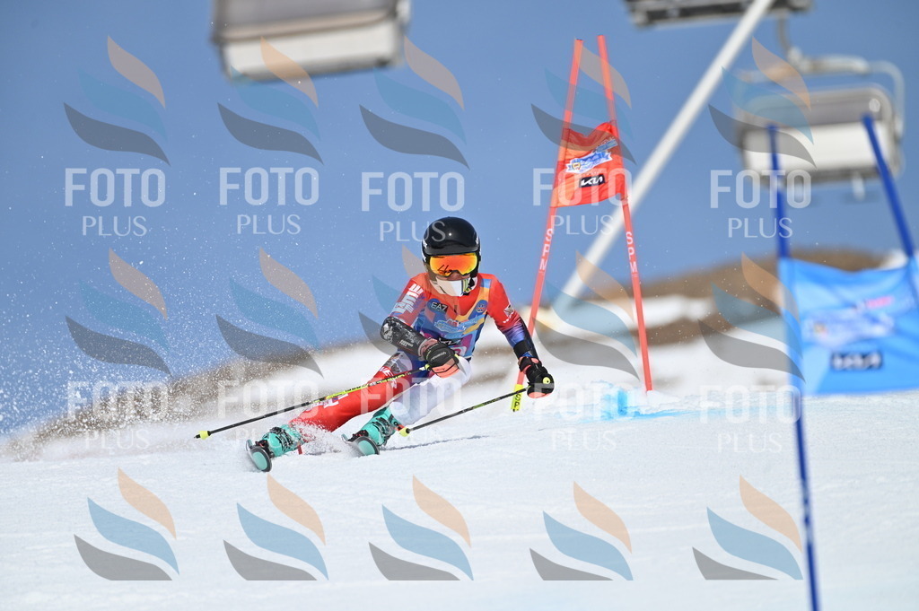 BGV_0780 | holidayphoto