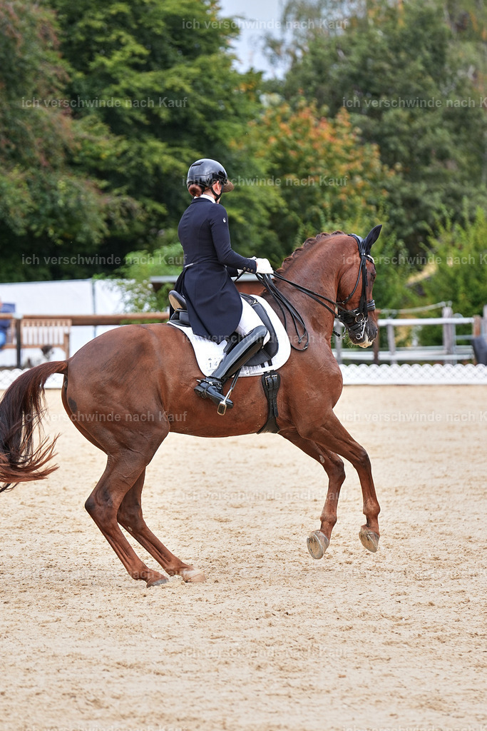 11-141-Dressur S___-Marixx-1835 | working equitationturnier fotograf videograf stoibphotography marixx film working equitation deutschland reitsport turnierfotografie eventfotografie equestrian events