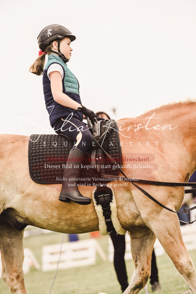 DSC_5305 | Pferde- und Turnierfotografie in Westsachsen. Pferdeportraits, Auftragszeichnungen und intuitive Kunst.
