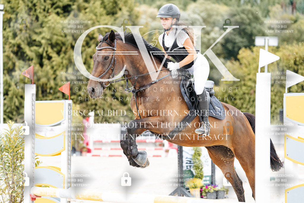 CK907791 | Turnierfotografie Pferdefotografie Trier Rheinland-Pfalz Pferdesport Reitsport Tierfotografie Sportfotografie Pferdevideo Pferdevideografie Equestrianvideography equestrianphotography  - Realisiert mit Pictrs.com