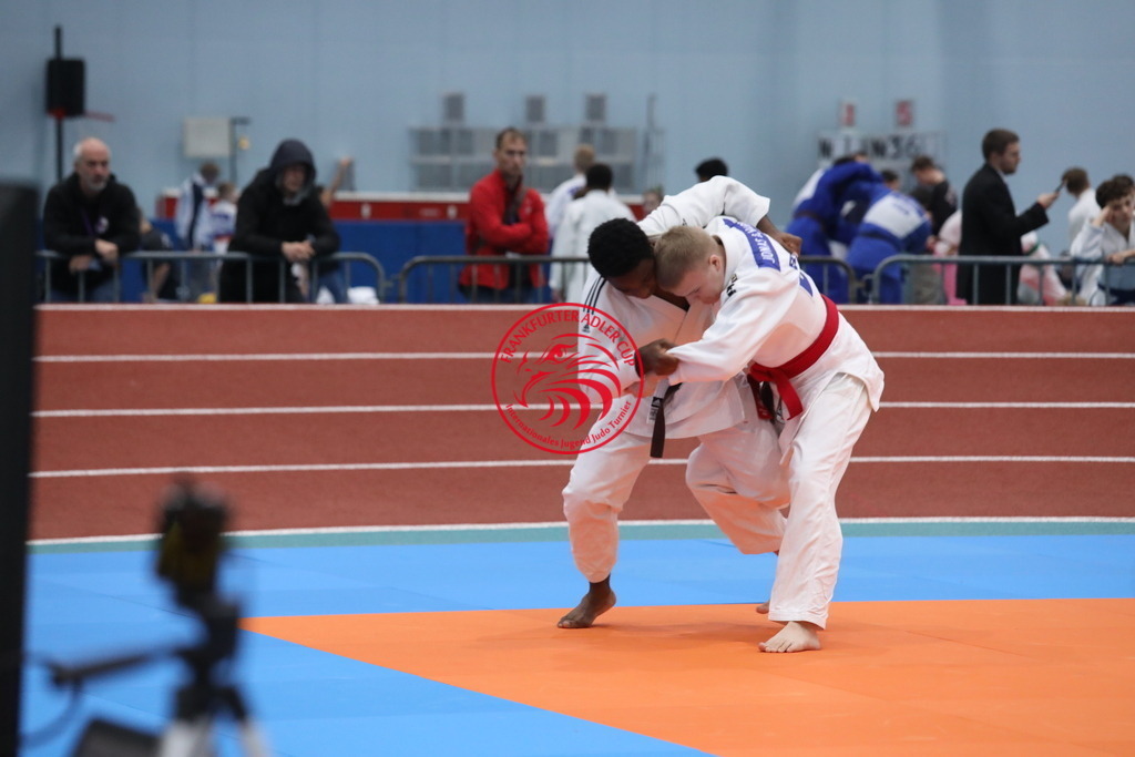 1J7A3587 | Fotos vom Adler Cup - Pictures from Adler Cup

Hier findet Ihr alle Eindrücke und großen Momente der Adler Cup Wochenenden. Here you will find all impressions and great moments of the Adler Cup weekends. - Realisiert mit Pictrs.com