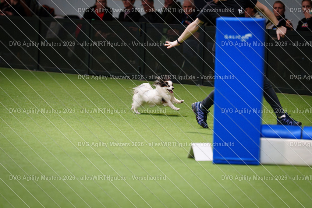 allesWIRTHgut_Tierfotografie-DVG_Agility_Masters_2026-13_58-7R500350 | Professionelle Tierfotografie in Mönchengladbach von Daniel Wirth (allesWIRTHgut). Liebevolle & natürliche Bilder von Hunden & Katzen für unvergessliche Erinnerungen.
