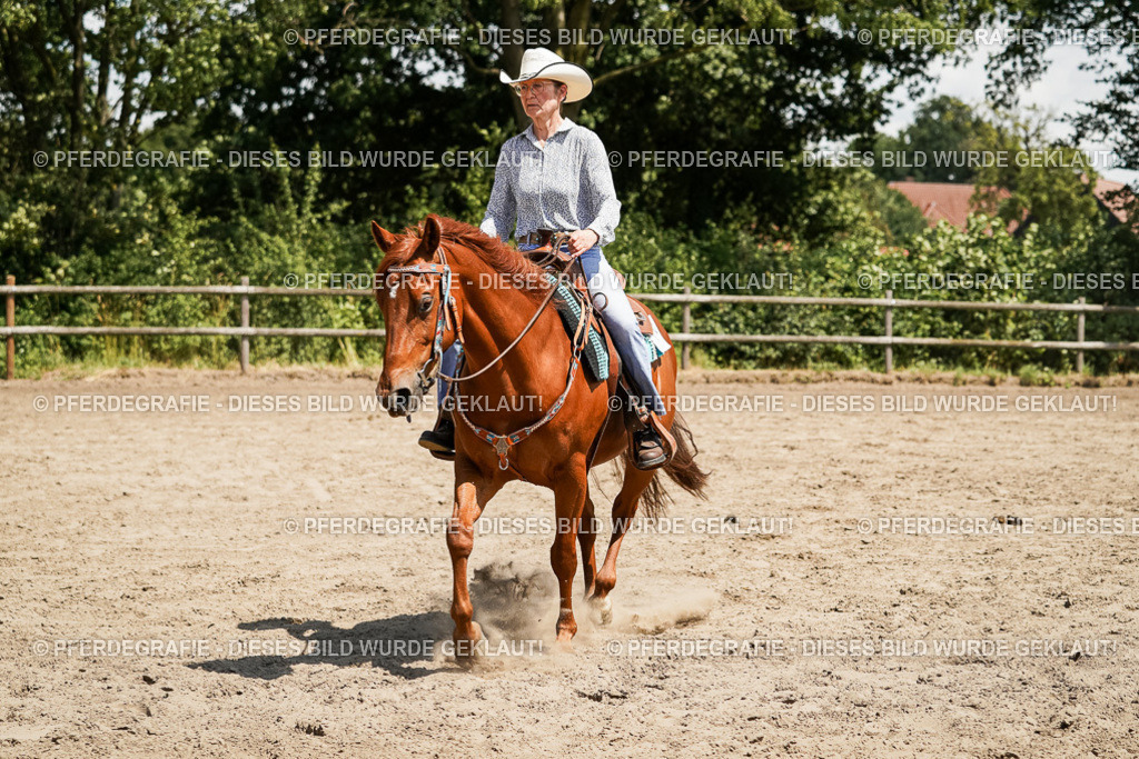 DSC09587 | Pferdegrafie