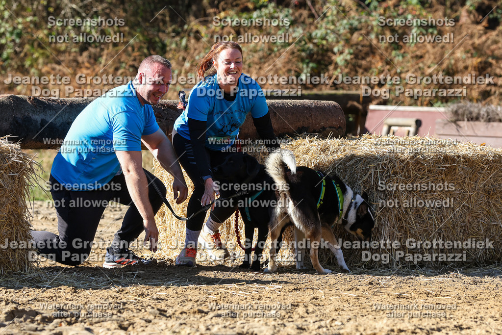 Dog Paparazzi - Strongdog 10-25-2818 | Dog Paparazzi Jeanette Grottendiek Fotografie & Videografie - Realisiert mit Pictrs.com