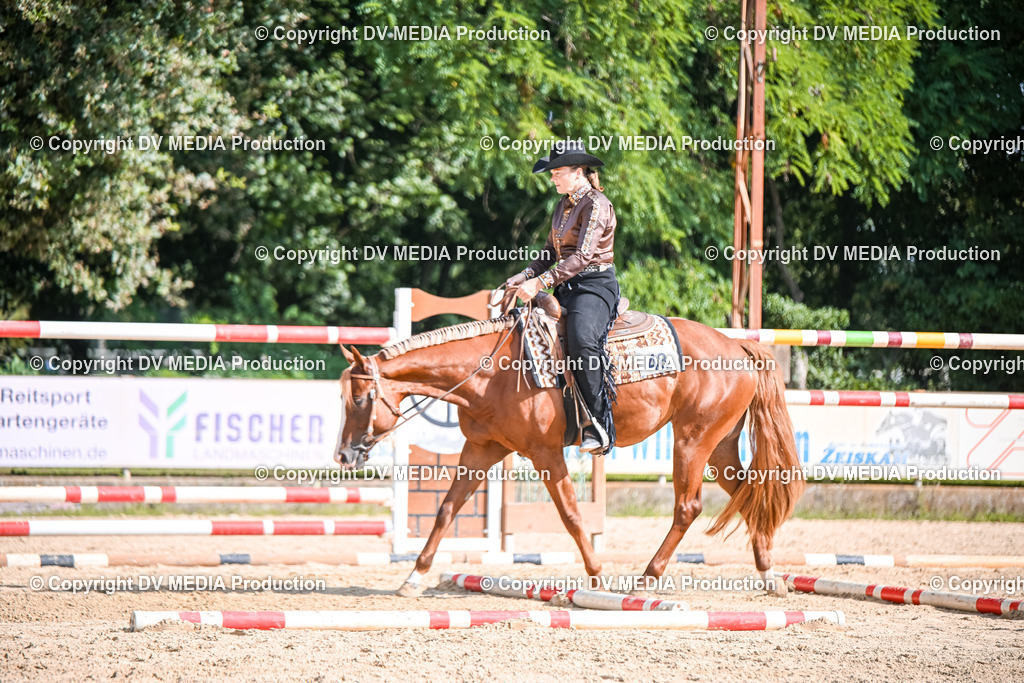 ZS2_3493 | dv-media-shop - Realisiert mit Pictrs.com