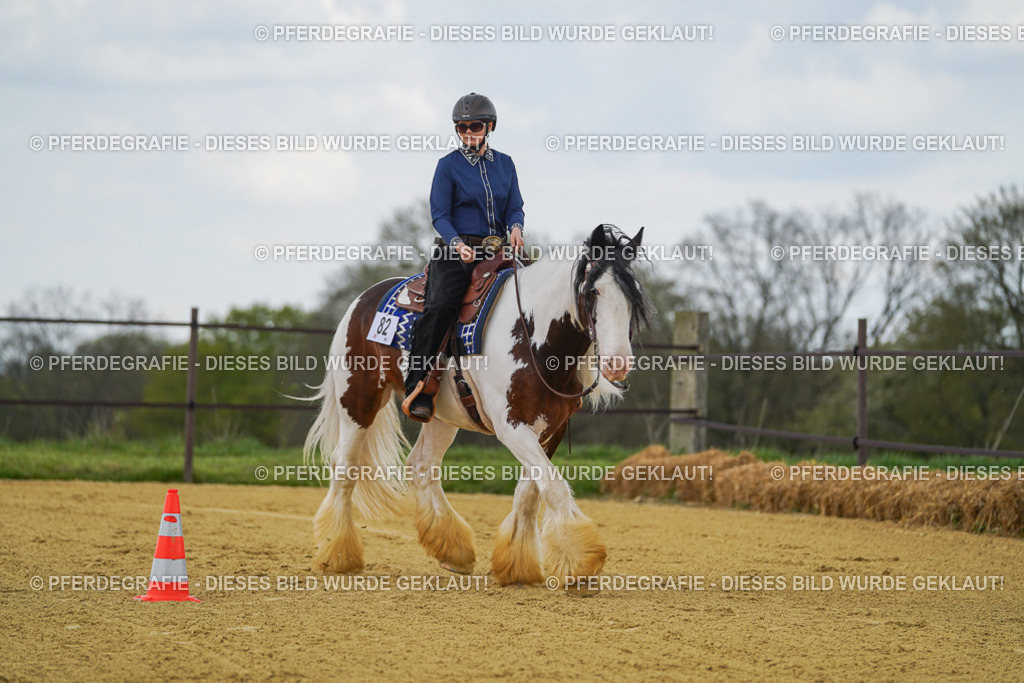 DSC05962 | Pferdegrafie