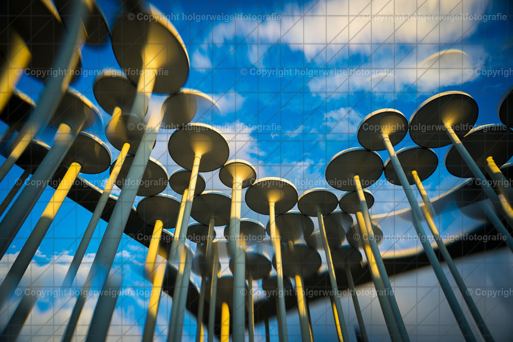 20260703203943Z63_5372 | Kaufen sie online außergewöhnliche Fotografien auf Leinwand Acrylglas Fotoprint Aludibond von holgerweigeltfotografie - Realisiert mit Pictrs.com