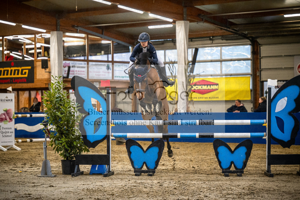 DOS_B1093 | Entdecke hochwertige Reitturnierfotos von Foto Oger. Professionell, emotional und authentisch – jetzt Lieblingsmomente im Shop bestellen.Deutschlandweite Turnierfotografie. - Realisiert mit Pictrs.com