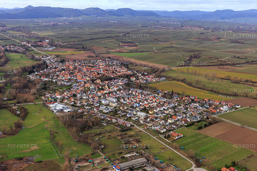 Luftbild: Ortsansicht von Südosten im Ortsteil Billigheim in Billigheim-Ingenheim im Bundesland Rheinland-Pfalz in Deutschland. Foto: IMG_124327.jpg vom 04.02.2021 durch Werner Riehm/FLY-FOTO.de