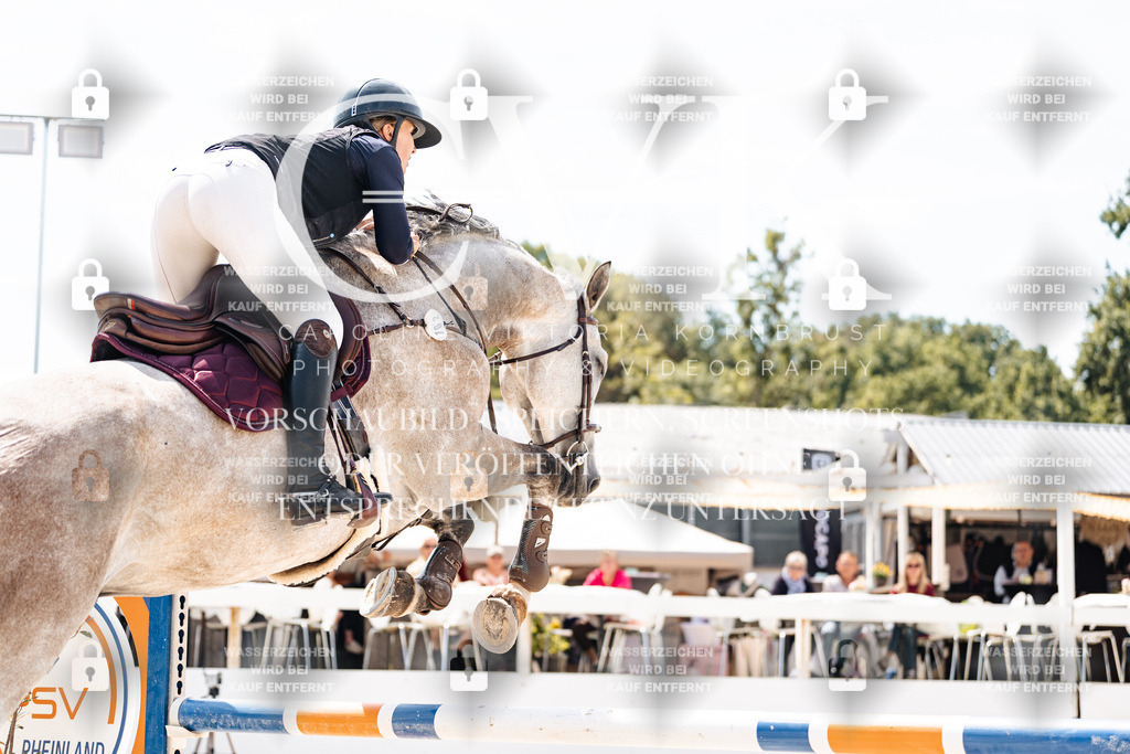 CK907998 | Turnierfotografie Pferdefotografie Trier Rheinland-Pfalz Pferdesport Reitsport Tierfotografie Sportfotografie Pferdevideo Pferdevideografie Equestrianvideography equestrianphotography  - Realisiert mit Pictrs.com