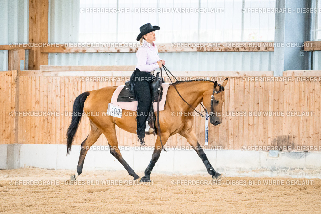 DSC09983 | Pferdegrafie