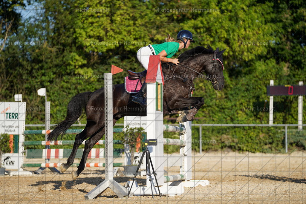 20240824-FAH08792 | Thierhaupten 2024, Bayerisches Landesponyturnier, Turnierbilder, Ponybilder, Turnierfotografen Bayern, Fotoagentur Herrmann