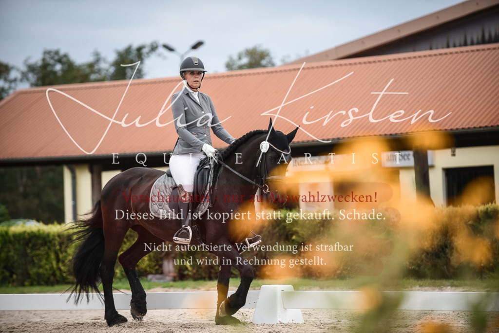 DSC_8321 | Pferde- und Turnierfotografie in Westsachsen. Pferdeportraits, Auftragszeichnungen und intuitive Kunst.