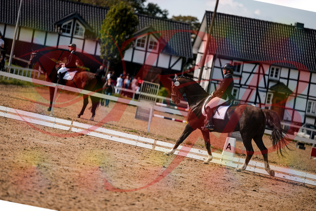 2026_10_03_Siefer-Hof_132359_Z63_86320888 | Professionelle Reitsport-, Turnier- und Eventfotografie von Robert Broda. Galerien mit ausgewählten und bearbeiteten Bildern direkt online ansehen und bestellen.